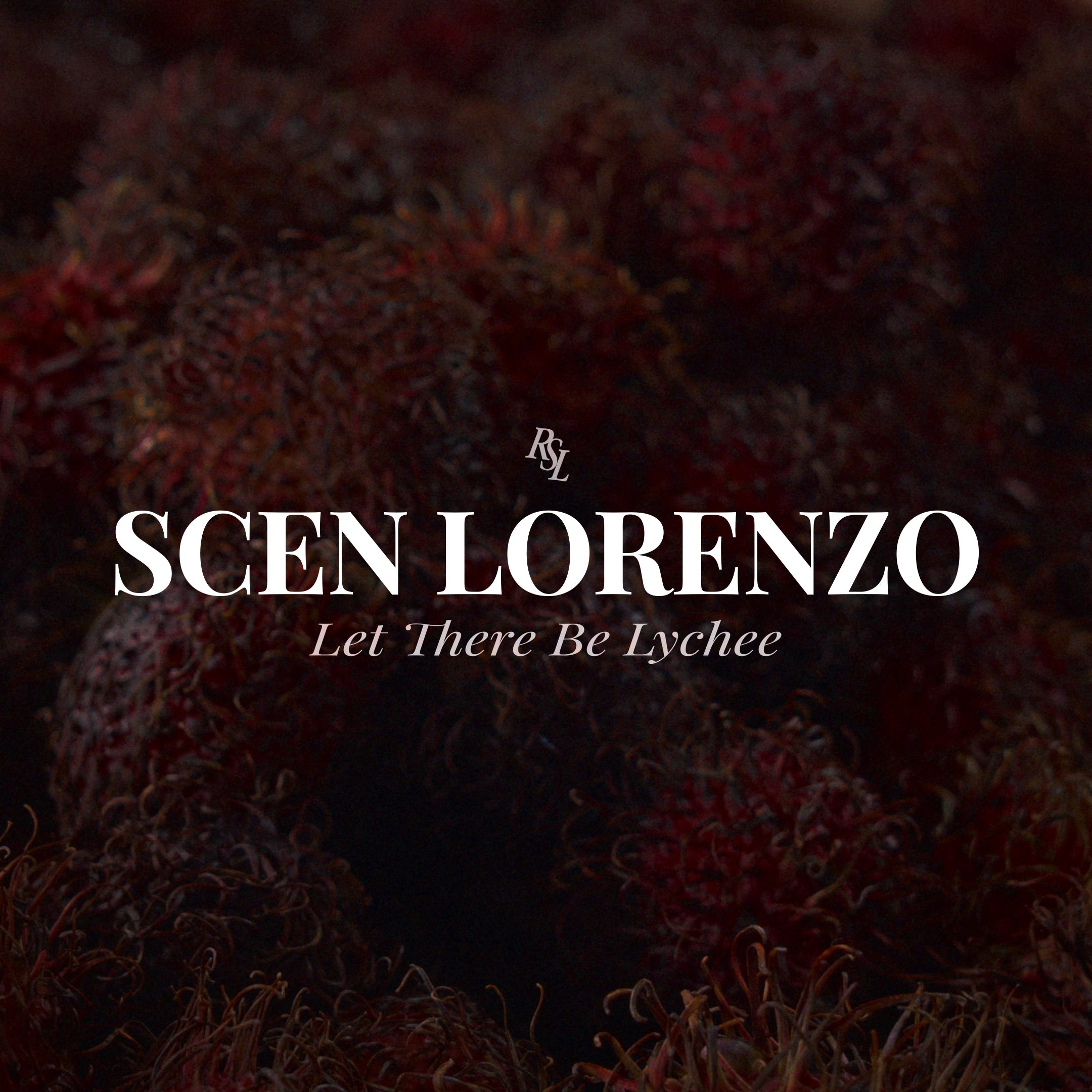 Let There Be Lychee | 4oz Scented Candle